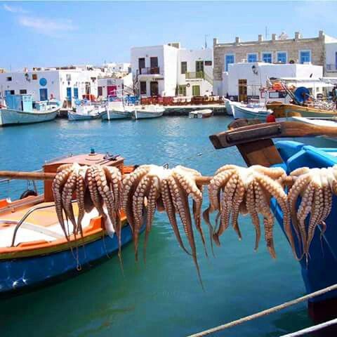 Finding best places to visit in Paros